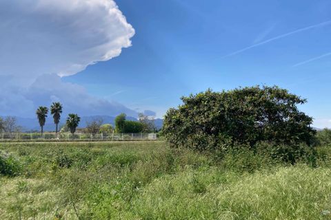 Finca i El Perello, Tarragona, El Perello - € 35.000 | Ref: Finca rústica p - foto 12